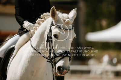 © Niki Buchegger, turnier-fotos.at