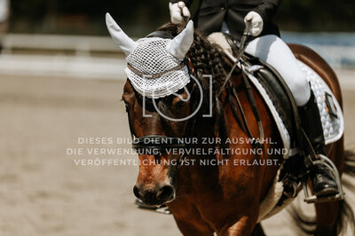 © Niki Buchegger, turnier-fotos.at