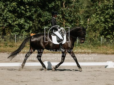 © Niki Buchegger, turnier-fotos.at