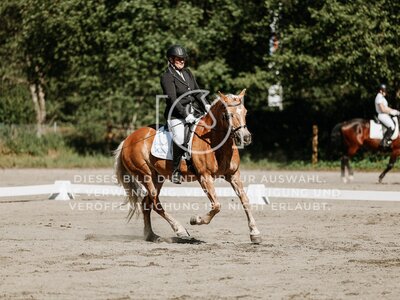 © Niki Buchegger, turnier-fotos.at