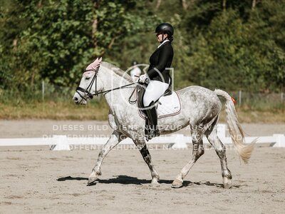 © Niki Buchegger, turnier-fotos.at