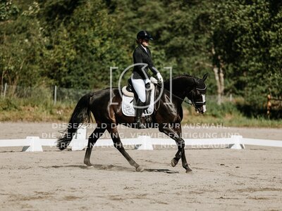 © Niki Buchegger, turnier-fotos.at