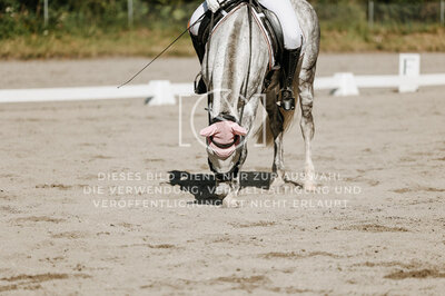 © Niki Buchegger, turnier-fotos.at
