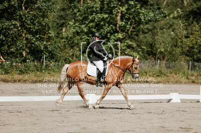 © Niki Buchegger, turnier-fotos.at