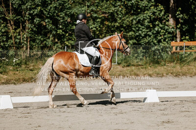 © Niki Buchegger, turnier-fotos.at