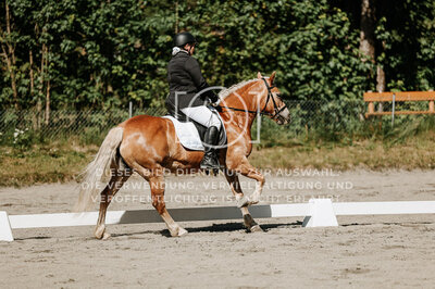 © Niki Buchegger, turnier-fotos.at
