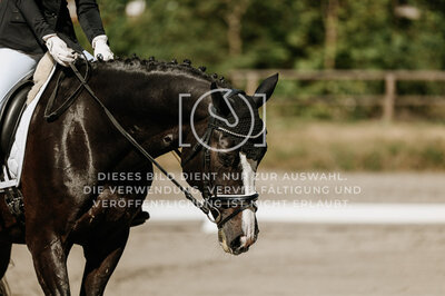 © Niki Buchegger, turnier-fotos.at