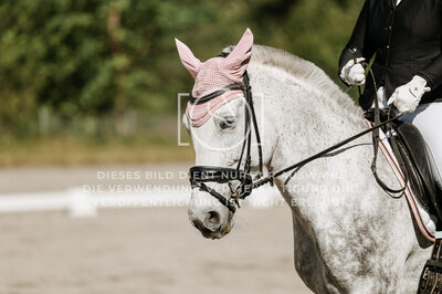 © Niki Buchegger, turnier-fotos.at