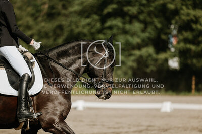 © Niki Buchegger, turnier-fotos.at