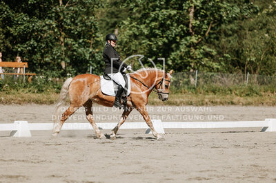 © Niki Buchegger, turnier-fotos.at