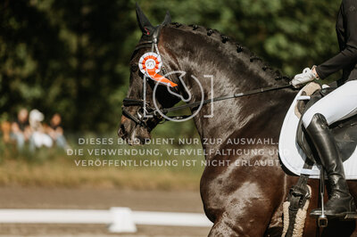 © Niki Buchegger, turnier-fotos.at