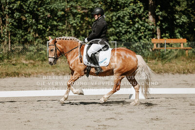 © Niki Buchegger, turnier-fotos.at