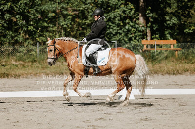 © Niki Buchegger, turnier-fotos.at
