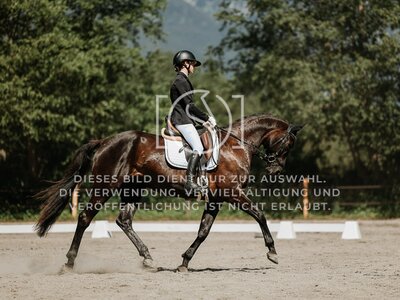 © Niki Buchegger, turnier-fotos.at