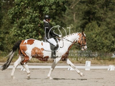 © Niki Buchegger, turnier-fotos.at
