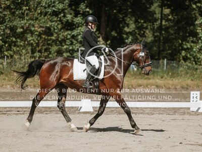 © Niki Buchegger, turnier-fotos.at