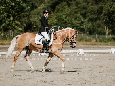 © Niki Buchegger, turnier-fotos.at