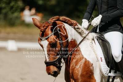 © Niki Buchegger, turnier-fotos.at
