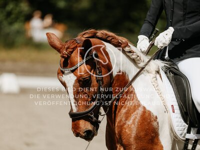 © Niki Buchegger, turnier-fotos.at