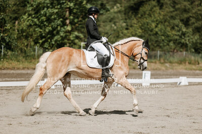 © Niki Buchegger, turnier-fotos.at