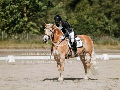 © Niki Buchegger, turnier-fotos.at