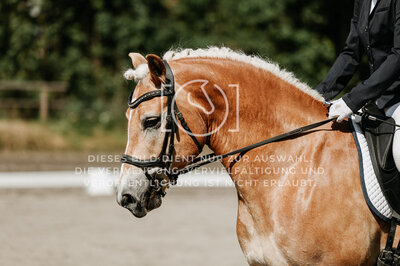 © Niki Buchegger, turnier-fotos.at