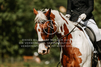 © Niki Buchegger, turnier-fotos.at
