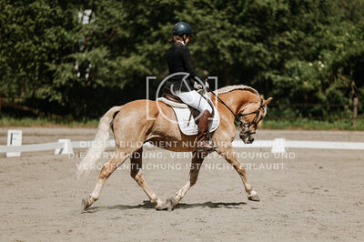 © Niki Buchegger, turnier-fotos.at
