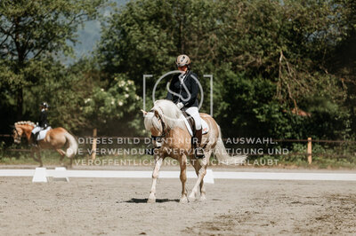© Niki Buchegger, turnier-fotos.at