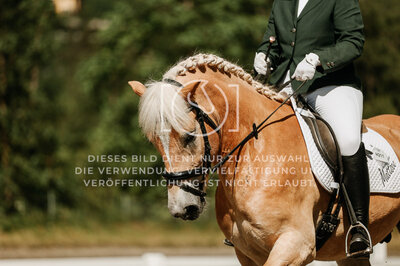 © Niki Buchegger, turnier-fotos.at