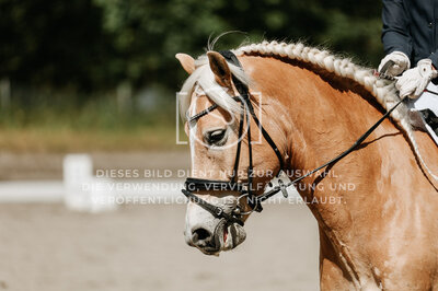 © Niki Buchegger, turnier-fotos.at