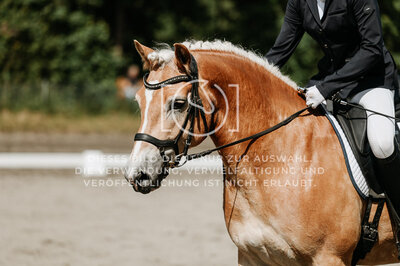 © Niki Buchegger, turnier-fotos.at
