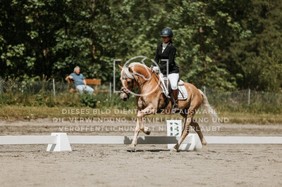 © Niki Buchegger, turnier-fotos.at