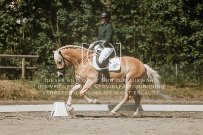 © Niki Buchegger, turnier-fotos.at