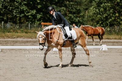 © Niki Buchegger, turnier-fotos.at