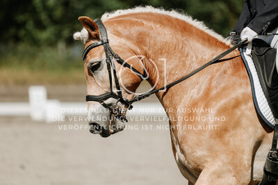 © Niki Buchegger, turnier-fotos.at