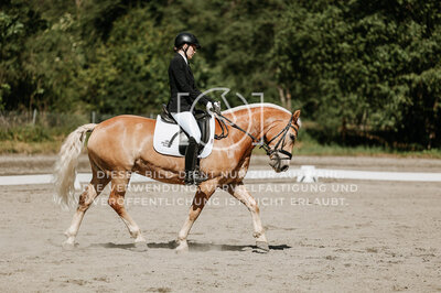 © Niki Buchegger, turnier-fotos.at