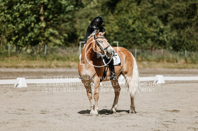 © Niki Buchegger, turnier-fotos.at