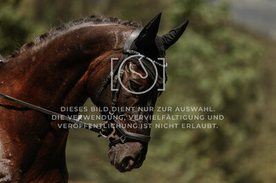 © Niki Buchegger, turnier-fotos.at