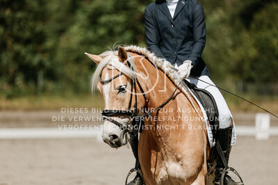 © Niki Buchegger, turnier-fotos.at