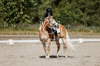 © Niki Buchegger, turnier-fotos.at