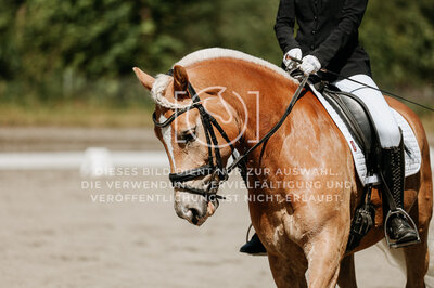 © Niki Buchegger, turnier-fotos.at