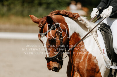 © Niki Buchegger, turnier-fotos.at