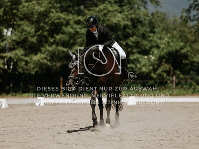 © Niki Buchegger, turnier-fotos.at