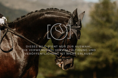 © Niki Buchegger, turnier-fotos.at