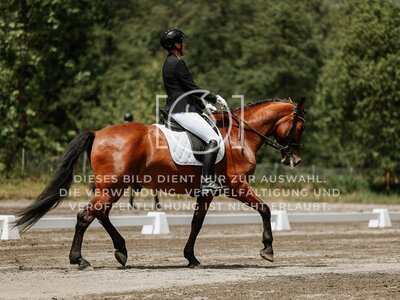 © Niki Buchegger, turnier-fotos.at