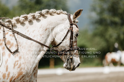 © Niki Buchegger, turnier-fotos.at