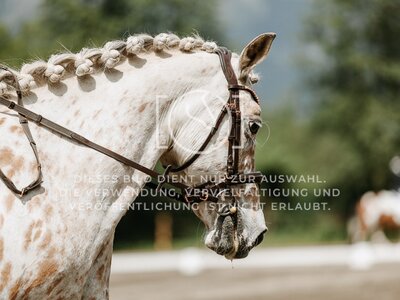 © Niki Buchegger, turnier-fotos.at