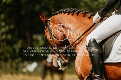 © Niki Buchegger, turnier-fotos.at