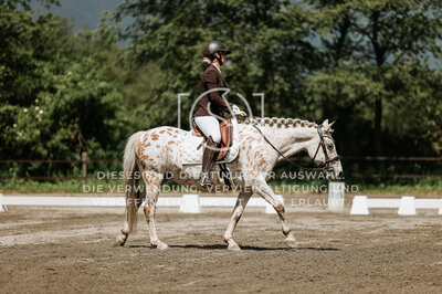 © Niki Buchegger, turnier-fotos.at